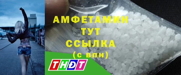 шишки Переславль-Залесский