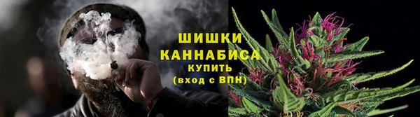 шишки Переславль-Залесский