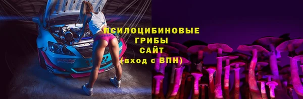 шишки Переславль-Залесский