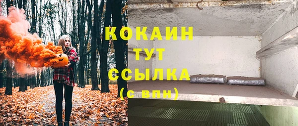 эйфоретик Вуктыл