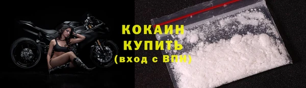 ешки Пересвет