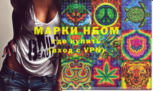 шишки Переславль-Залесский
