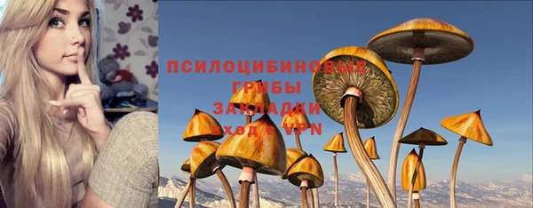 ешки Пересвет