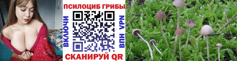 Галлюциногенные грибы ЛСД Баксан