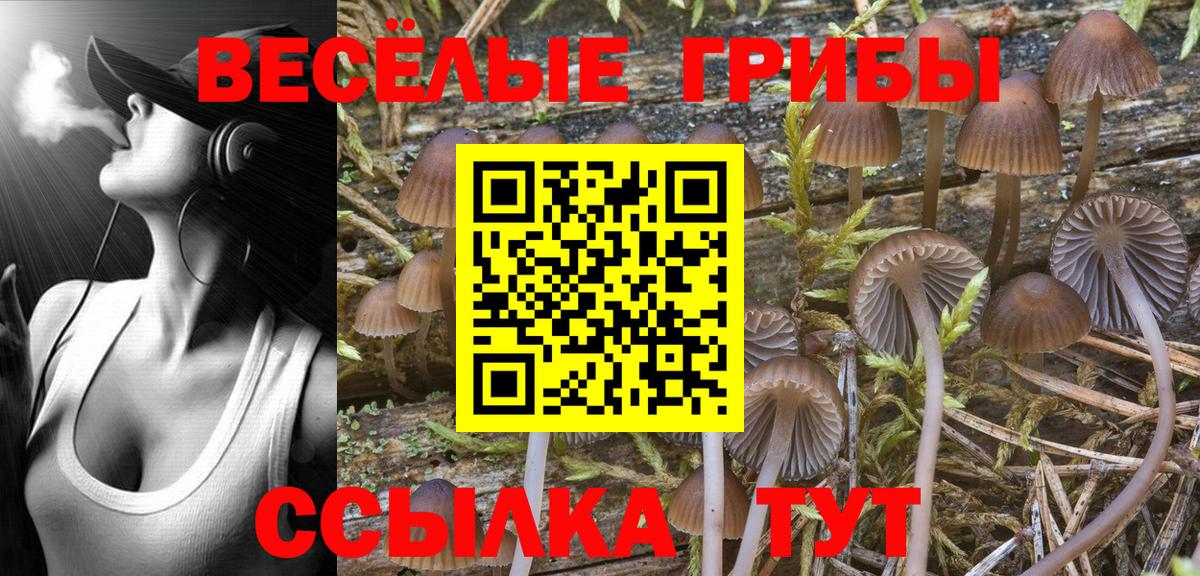 Псилоцибиновые грибы Magic Shrooms Баксан