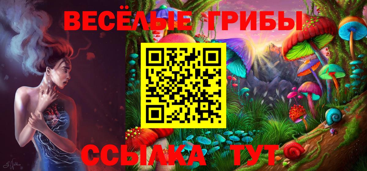 Баксан  Псилоцибиновые грибы Psilocybe  Псилоцибиновые грибы Psilocybine cubensis  наркотики  Вход с VPN 