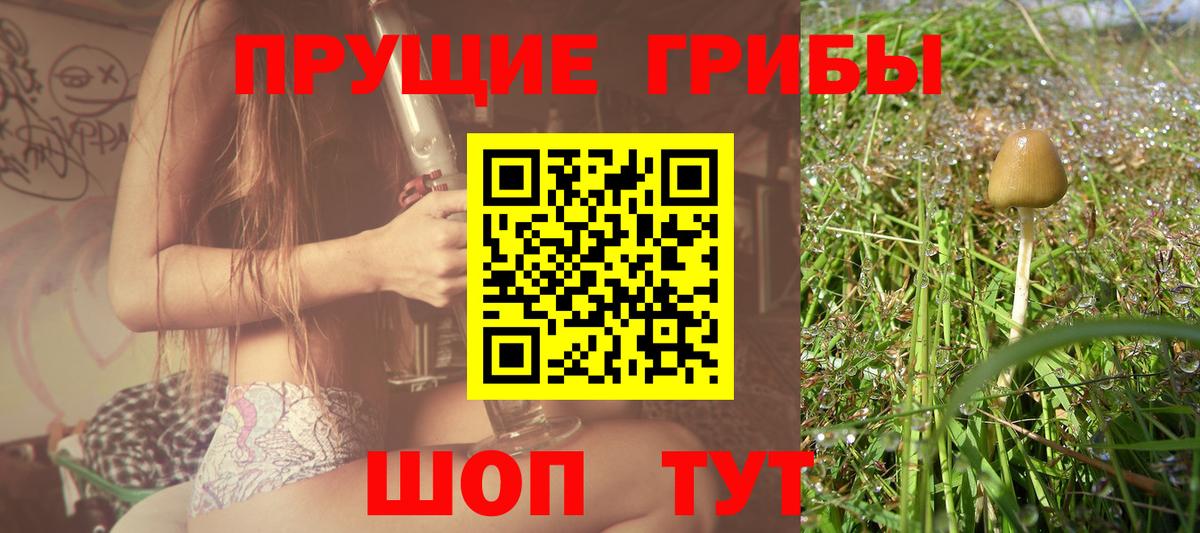 Псилоцибиновые грибы Magic Shrooms Баксан